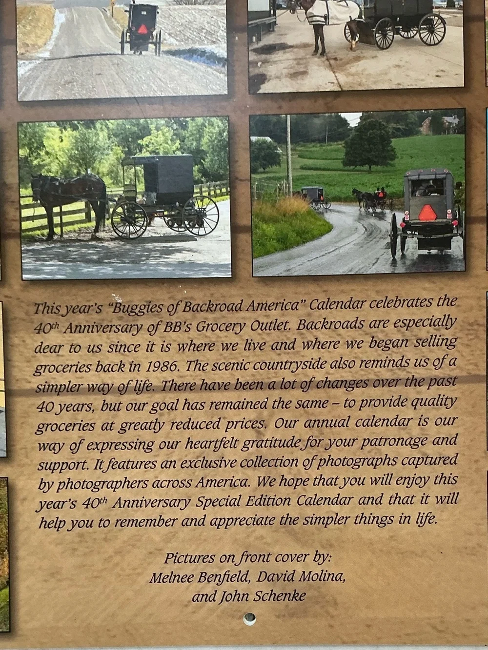 None amish buggies